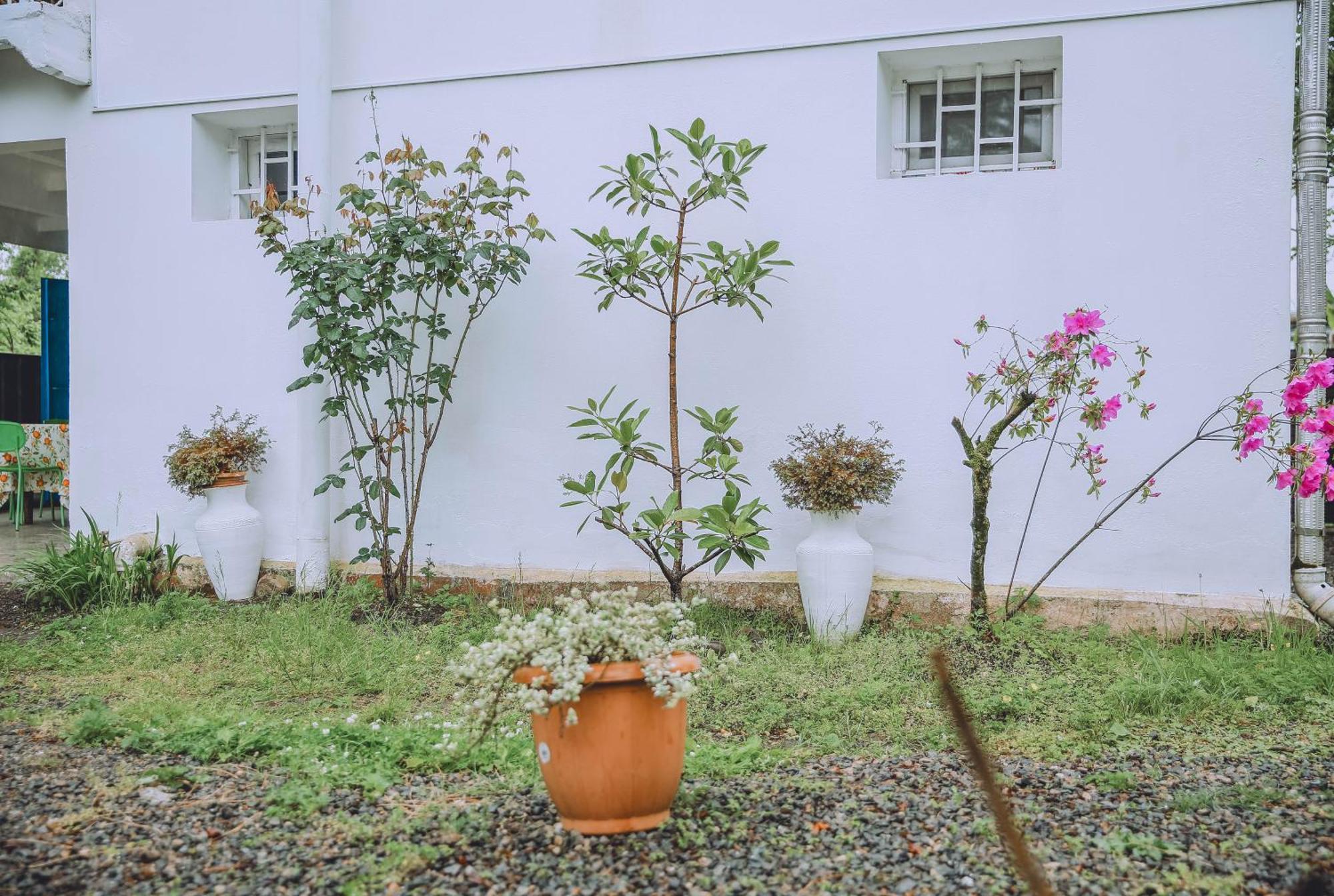 Qiwi House Villa Ureki Dış mekan fotoğraf